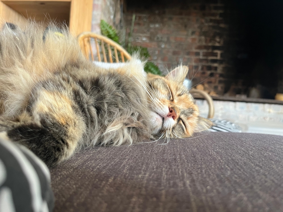 2 Bedroom Property for Sale in Koringberg Western Cape